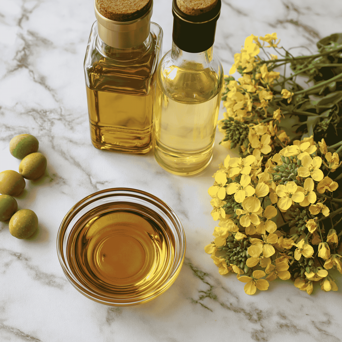 Olive Oil vs Canola Oil: Health, Smoke Point, Best Uses & Complete Comparison